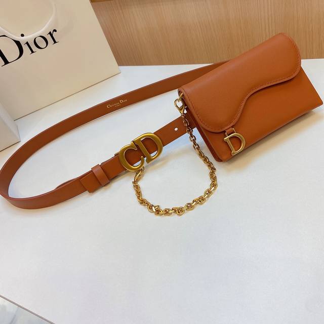 Dior Waist Bag With *Christian Dior Paris* Logo On The Inside Retro Gold Finish