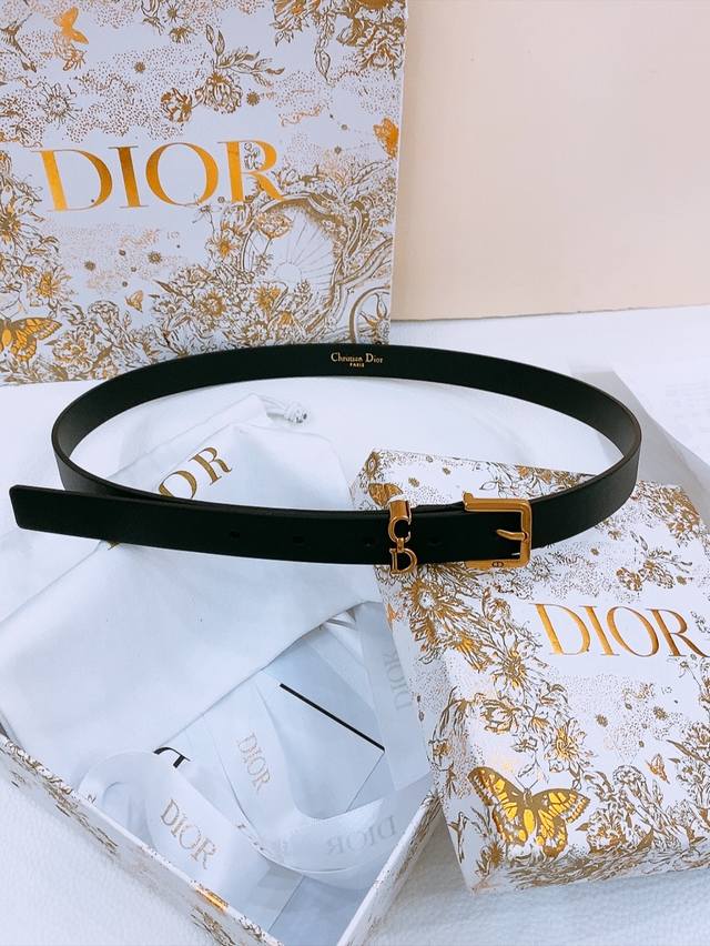 Dijia Saddle Loop BeltThis Saddle Loop Belt is a new item in the 2025 autumn ser