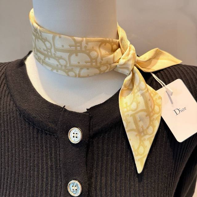 New This Dior Montaigne Mitzah scarf is inspired by the address of the iconic Di