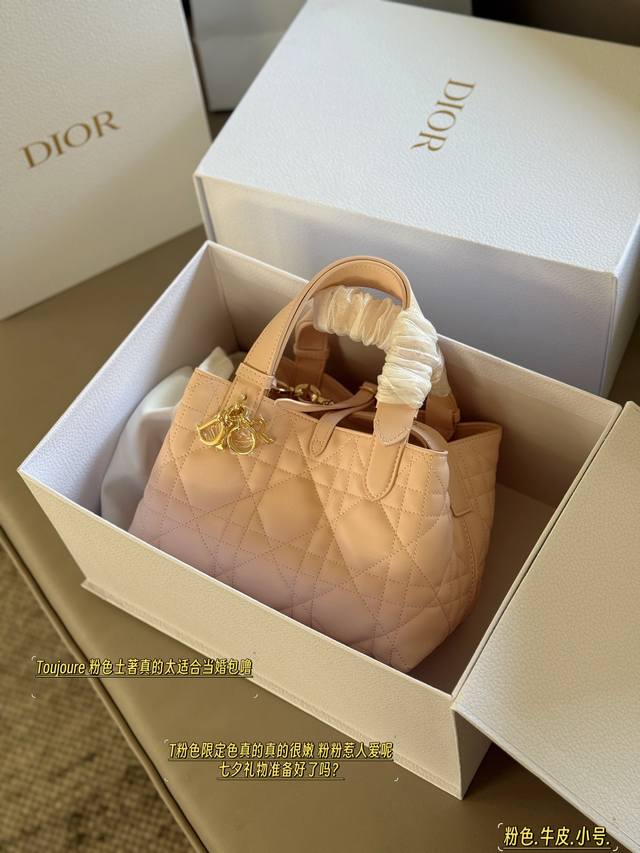 Another upgraded version Size: 23*15Cm Small D's super popular Toujours shopping