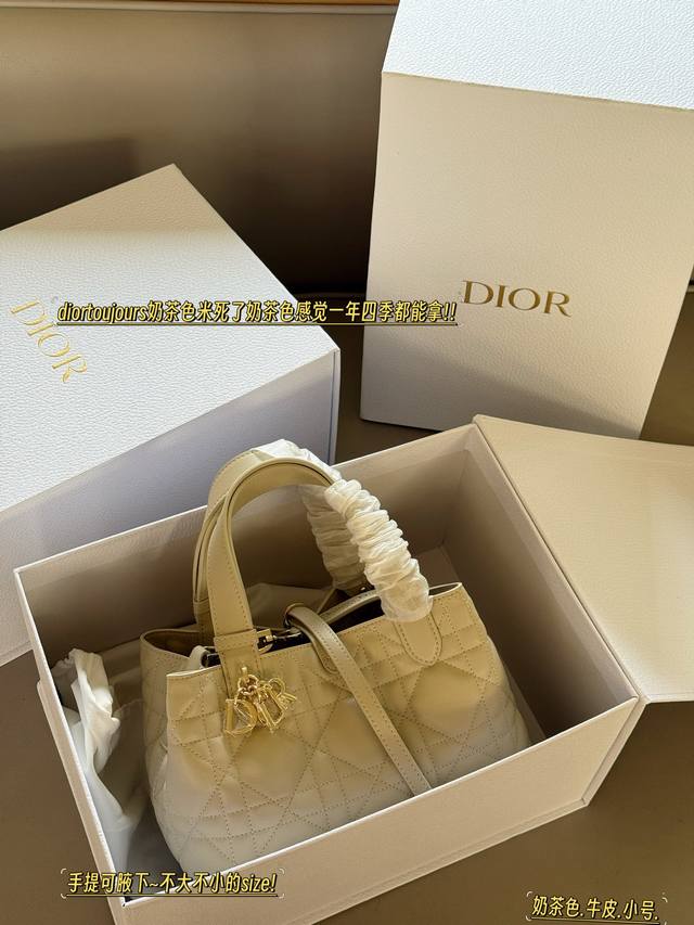 Upgraded version Size: 23*15Cm Small D's super popular Toujours shopping bag I p