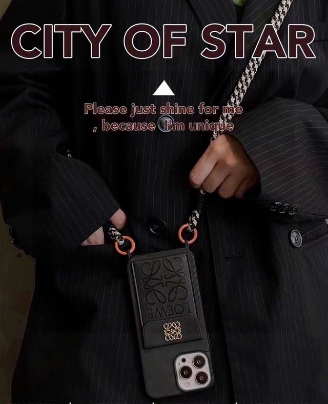 Loewe crossbody phone case/card holder case with detachable crossbody strap. Th