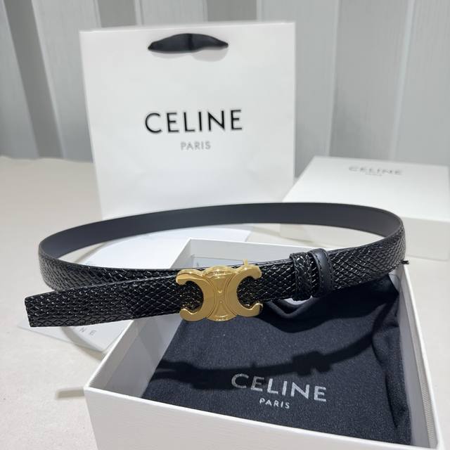 Celine Arc de Triomphe Snakeskin Waistband