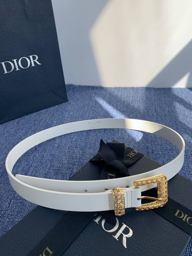 Dior 550 2.5Cm 550112 DDD This Montaigne Avenue belt draws inspiration from the